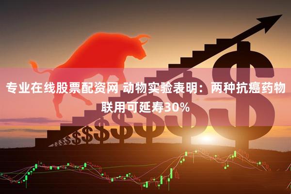 专业在线股票配资网 动物实验表明:两种抗癌药物联用可延寿30%
