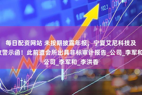 每日配资网站 未按期披露年报，宁夏艾尼科技及责任人收警示函！此前遭会所出具非标审计报告_公司_李军和_李洪香