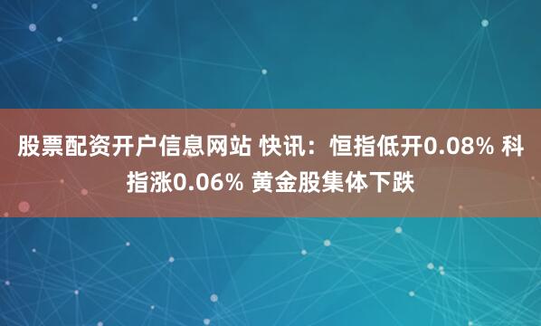 股票配资开户信息网站 快讯:恒指低开0.08% 科指涨0.06% 黄金股集体下跌