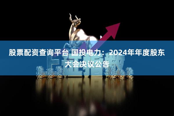 股票配资查询平台 国投电力：2024年年度股东大会决议公告